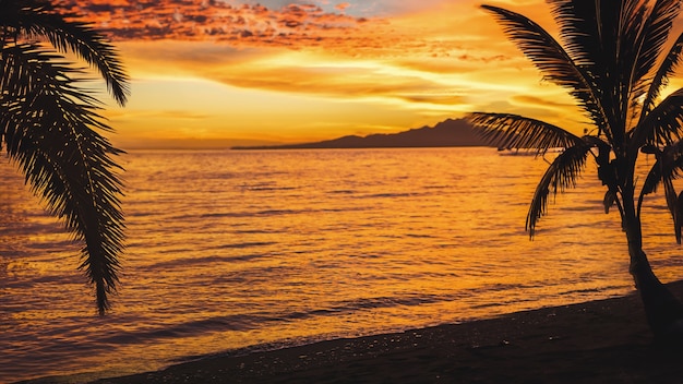 Vista de la playa con puesta de sol y palmeras