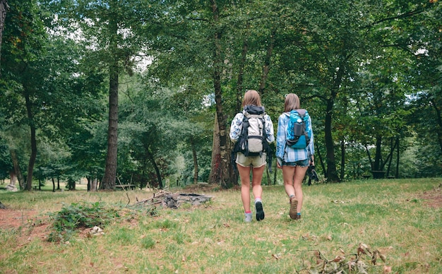 Vista posterior de dos amigas irreconocibles con mochilas caminando hacia el bosque