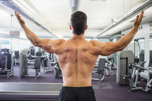 Vista posterior del hombre musculoso sin camisa en el gimnasio