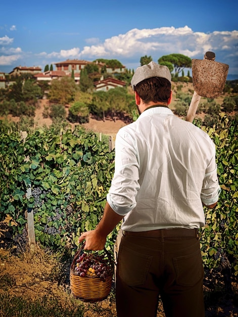 Vista posterior de un joven agricultor sosteniendo una cesta de uvas Trabajador agrónomo se encuentra en viñedos