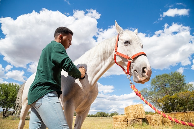 Vista posterior del joven macho afroamericano con cepillo para cuidar el pelo del caballo blanco en el rancho de día nublado