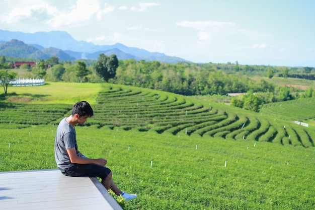 Vista posterior del joven mirando demasiado plantación de té Choui Fong. - Chiang Rai Tailandia.