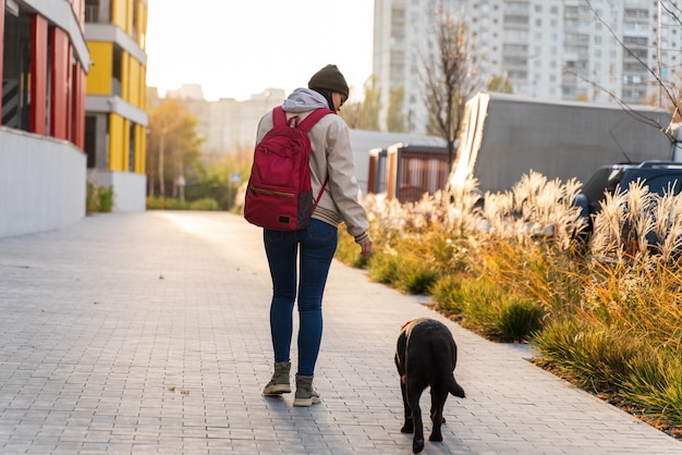 Vista posterior de la mujer caucásica mirando a su perro mientras camina con él por la calle y disfruta de un buen clima soleado. Caminar y cuidar el concepto de mascota.