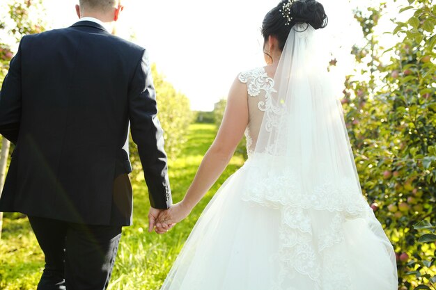 Vista posterior de la novia con vestido blanco y el novio con traje cogidos de la mano al aire libre