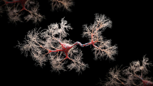 Vista de primer plano de la célula neuronal Imagen renderizada en 3D de la célula neuronal sobre fondo negro Interconexión de vista SEM