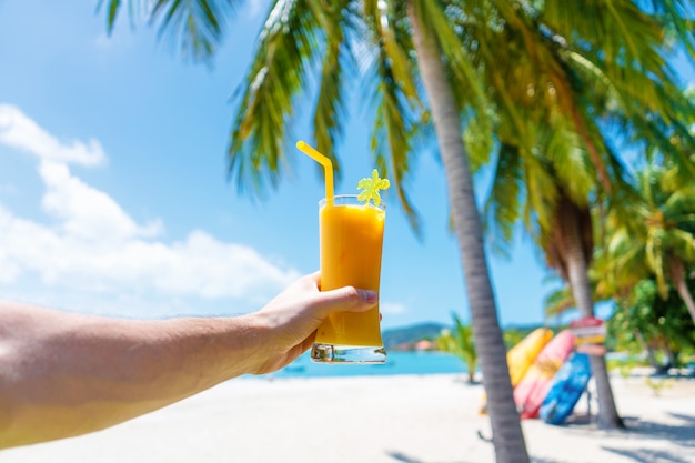 Vista en primera persona. La muchacha sostiene una taza de cristal de mango frío fresco en la pared de una playa tropical arenosa. Arena blanca y palmeras. Vacaciones de cuento de hadas