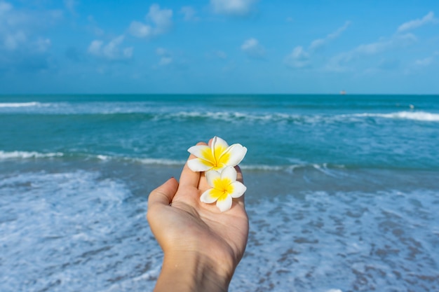 Vista en primera persona, la niña sostiene una flor de frangipani en su mano contra el fondo del mar. Concepto de calma y relajación junto al mar