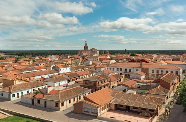 Vista del pueblo de Coca desde el Castillo