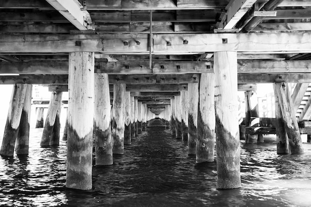 Bajo la vista del puente y el agua