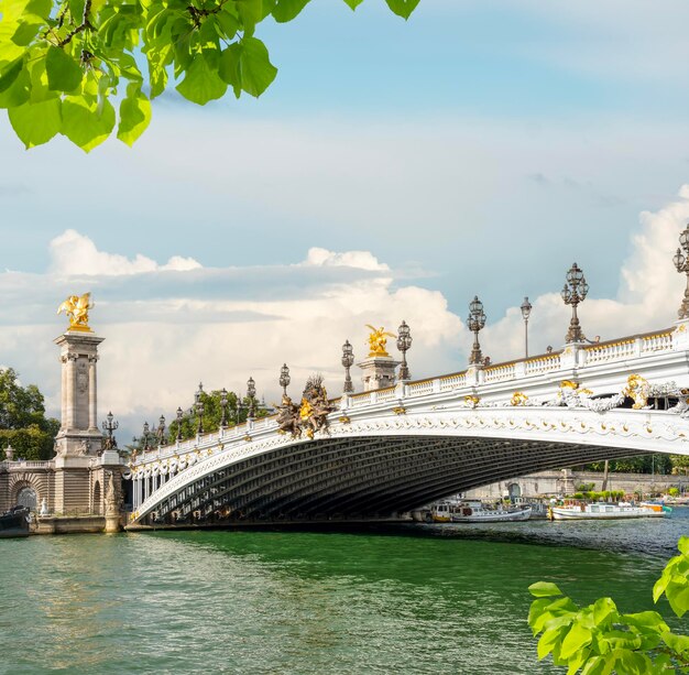 Foto vista del puente alexandre iii en parís