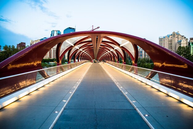 Foto vista del puente en la ciudad