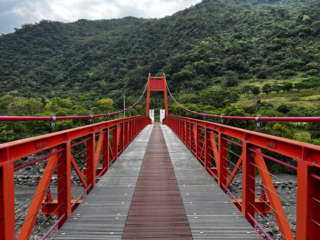 Vista del puente colgante