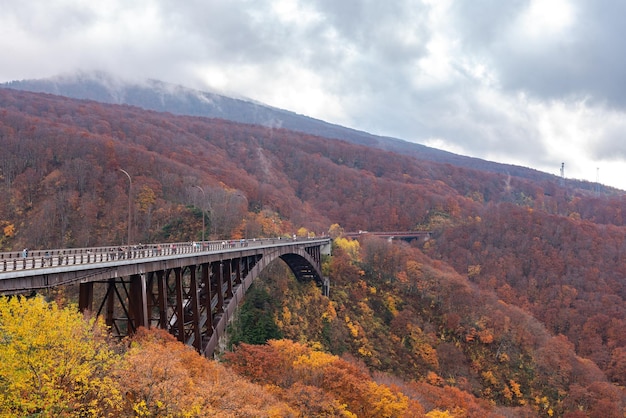 Foto vista del puente jogakura ohashi durante la temporada de follaje de otoño árboles coloridos