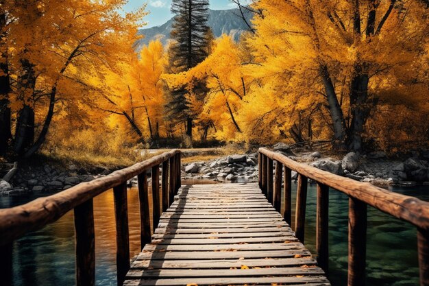 Foto vista en el puente de madera con árboles amarillos en otoño