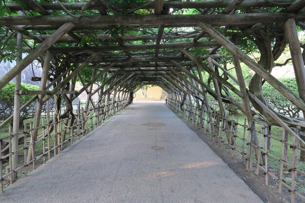 Vista del puente peatonal vacío