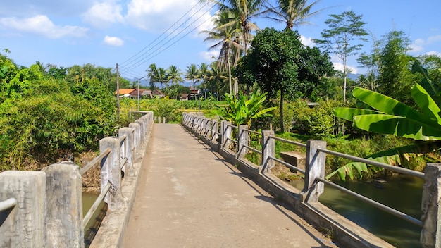 vista del puente peatonal