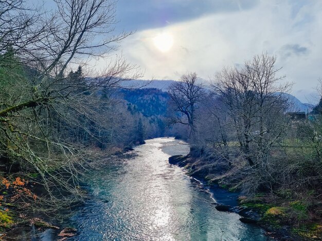 Vista desde el puente hasta el río de montaña la belleza de la naturaleza.