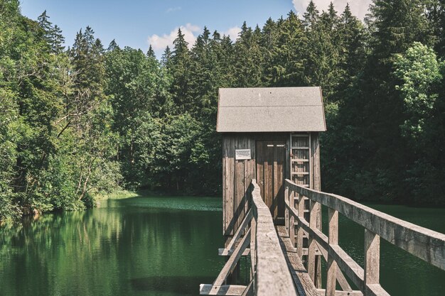 Foto vista del puente sobre el lago en el bosque