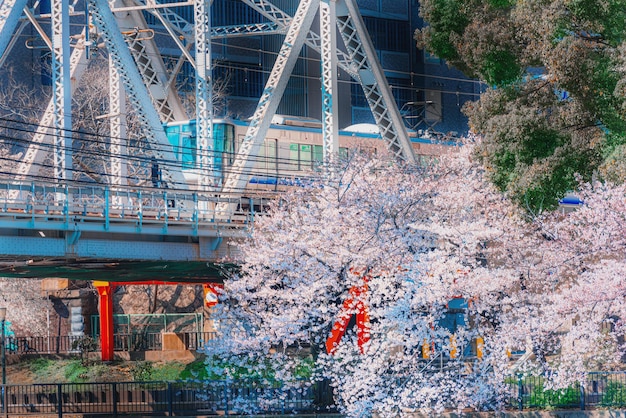 Foto vista del puente sobre el río