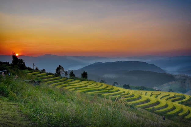 Vista de la puesta de sol del cultivo de arroz en el norte de Tailandia en Mae Chaem en Chiang Mai.