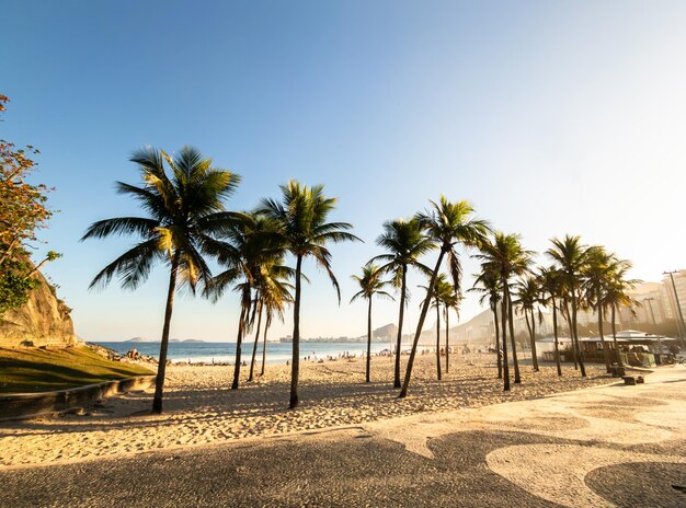 Vista de la puesta de sol en la playa de Leme con cocoteros en Río de Janeiro, Brasil