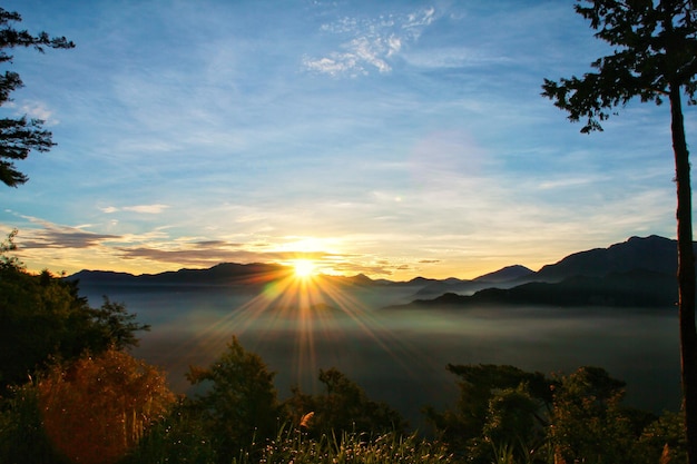 Vista puesta de sol sobre las montañas con niebla en el suelo por la mañana. Área de recreación del bosque nacional de Alishan en el condado de Chiayi, municipio de Alishan, Taiwán