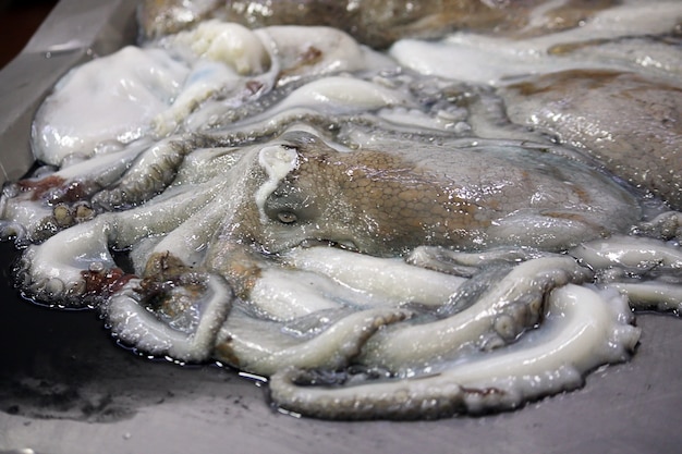 Vista de un pulpo muerto en venta en el mercado de pescado.