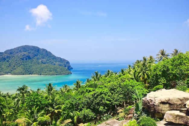 Vista desde el punto más alto de la isla Phi-Phi en Tailandia. Asia