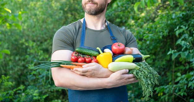 Vista recortada de la cosechadora con verduras maduras frescas