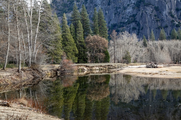 Vista, refletir, água, yosemite, nacional, parque, inverno