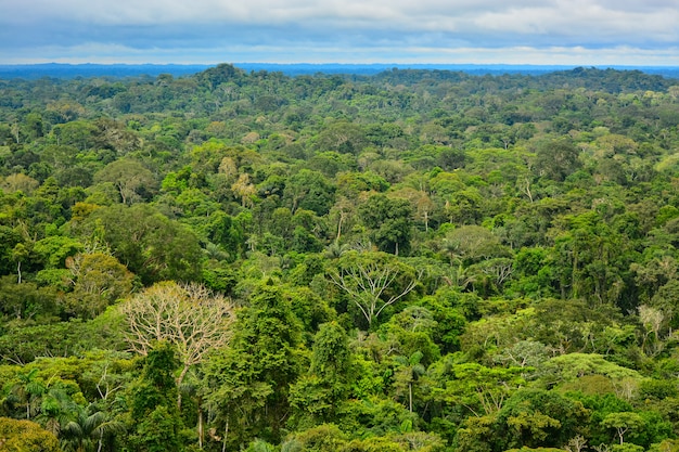 Vista de la región amazónica