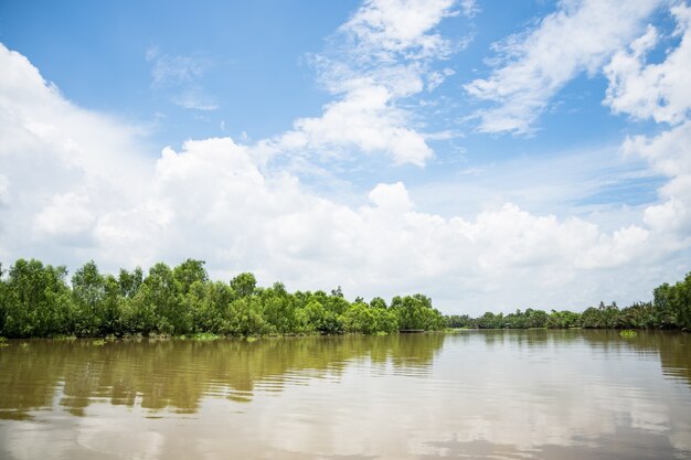 Vista del río Bang Pakong