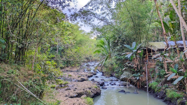 vista del río en Indonesia