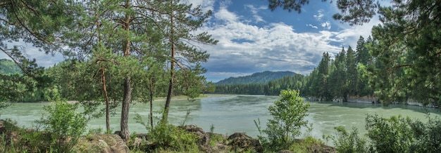 Vista del río Katun en las montañas de Altai en un día soleado, gran panorama