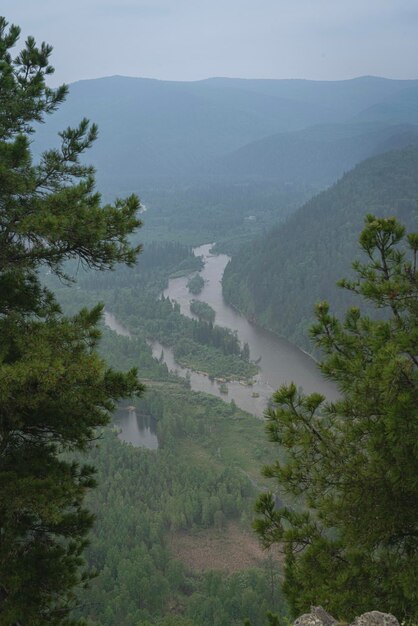 Foto vista del río en la niebla entre las verdes colinas y ramas de abeto río de fotografía vertical