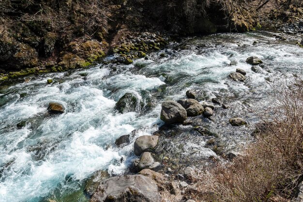 Vista del río que fluye a través de rocas