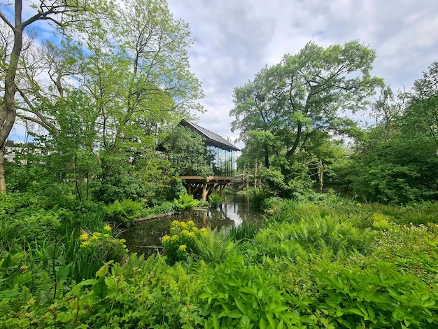 Una vista del río Támesis desde el jardín.