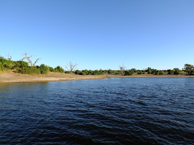 La vista del río Zambezi en el parque nacional de Chobe Botswana África