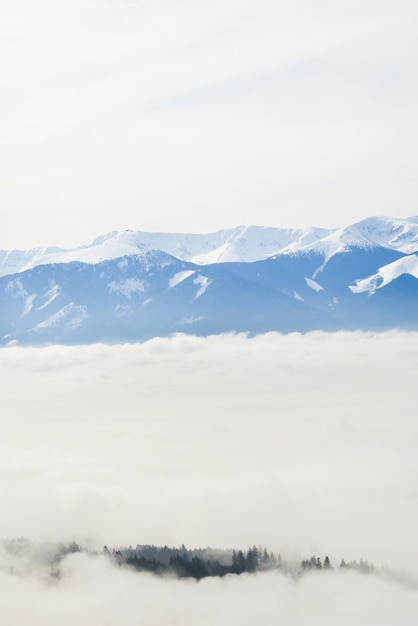 Vista desde la roca Cerenova en West Tatras cerca de la ciudad de Liptovsky Mikulas en tiempo brumoso Eslovaquia