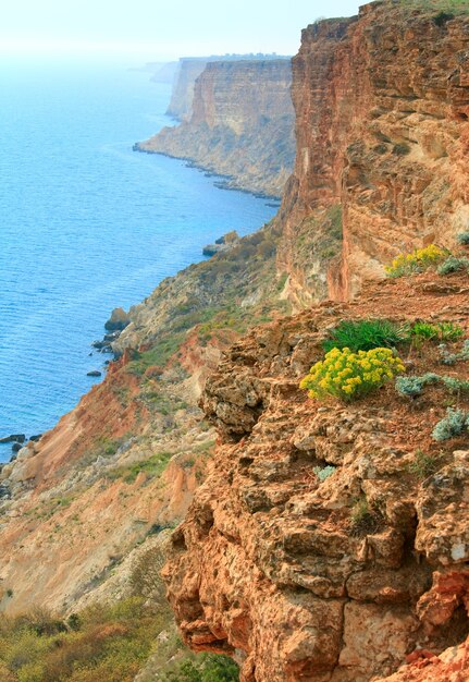 Vista de la roca costera desde Phiolent Cape (Crimea, Ucrania)