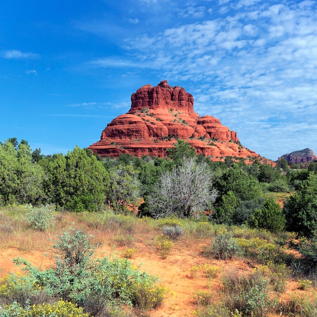Vista de la roca roja de Sedona, Arizona
