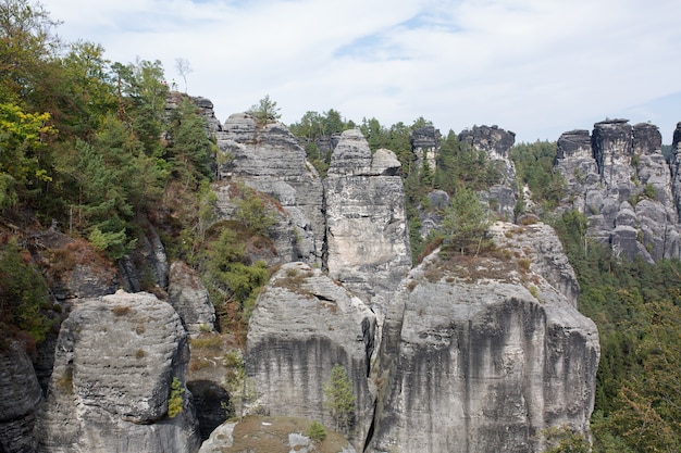 Vista de las rocas y el bosque en un día soleado en Alemania