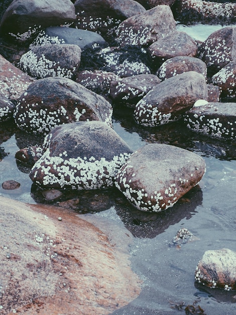 Foto vista de las rocas en el mar desde un ángulo alto