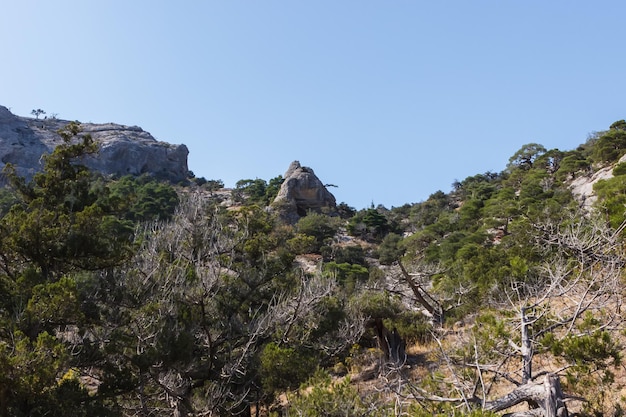 Vista de las rocas del Mar Negro desde el sendero Golitsyn