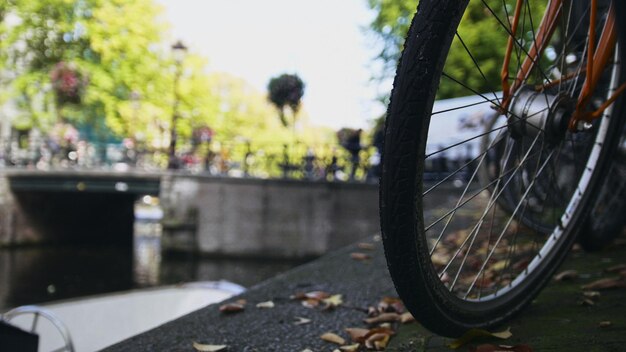 Vista de la rueda de la bicicleta en el canal de Amsterdam, soleado otoño europeo, Países Bajos