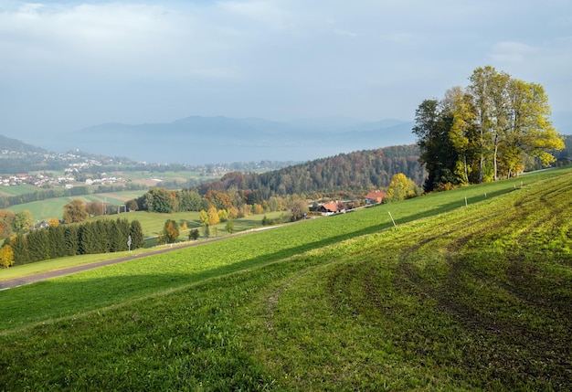 Vista rural de outono com colheitas verdes de inverno em bosques de campos terminam na floresta