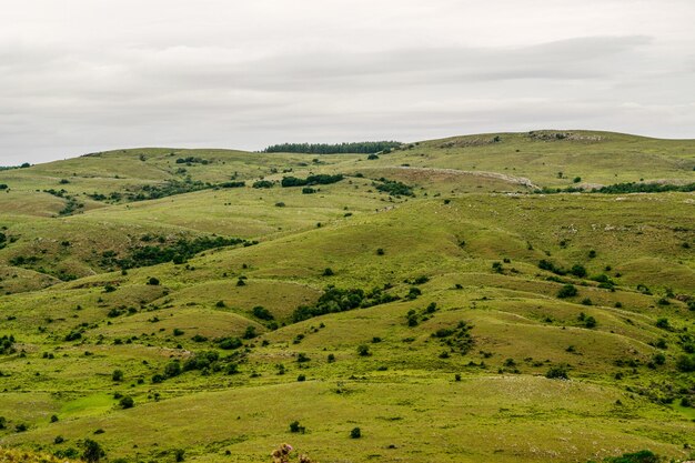 Vista rural