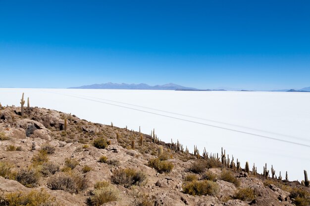 Vista del Salar de Uyuni desde la isla Incahuasi, Bolivia. El salar más grande del mundo. Paisaje boliviano