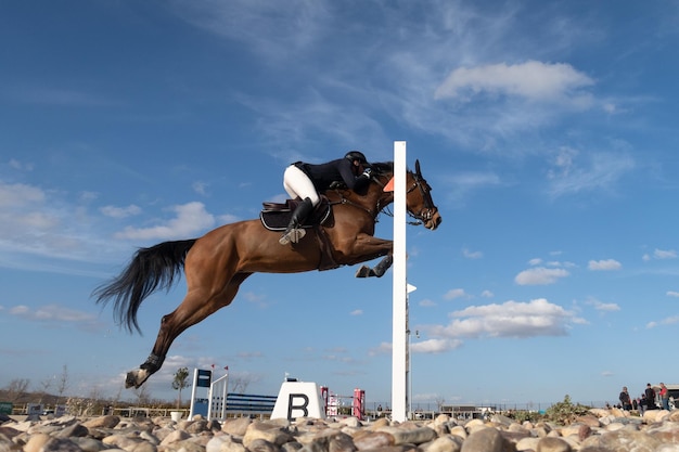 Vista del salto de obstáculos de un caballo y su jinete en una competición ecuestre