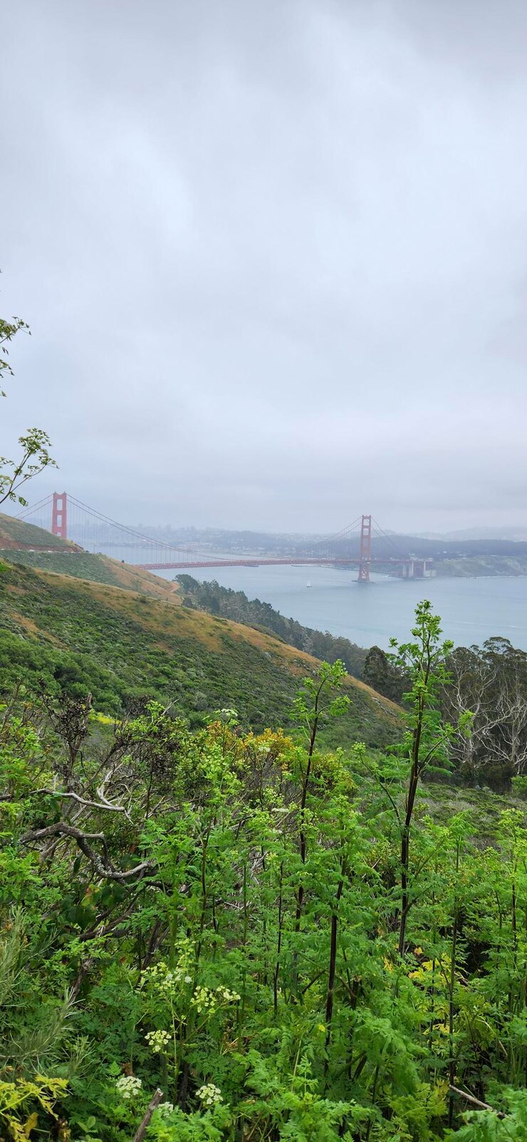 vista de san francisco